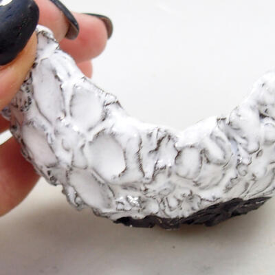 Ceramic shell 8 x 6 x 4 cm, color white - 2