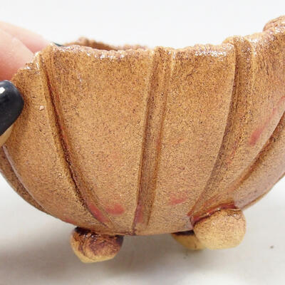 Ceramic shell 9.5 x 8 x 7 cm, natural color - 2