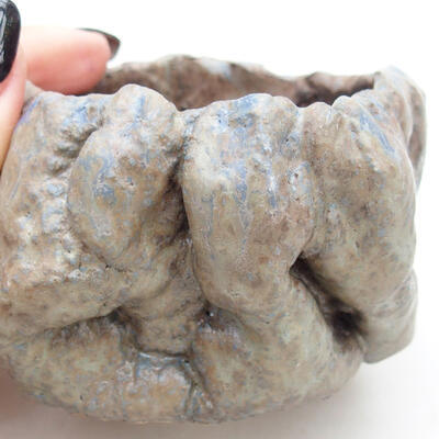 Ceramic Shell 8 x 7.5 x 6 cm, color blue - 2