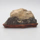 Suiseki - Stone with DAI (wooden mat) - 2/3