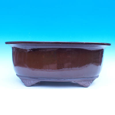 Bonsai bowl 60 x 46 x 23 cm - 2