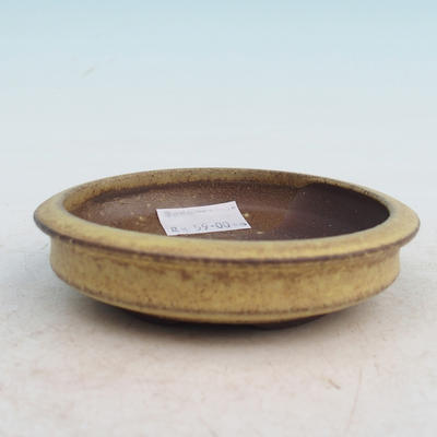 Ceramic bowl bonsai - 2