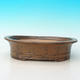 bonsai bowl CEJ 55, brown - 2/3