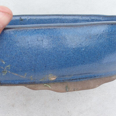 Bonsai bowl 31 x 21 x 4.5 cm, color blue - 2