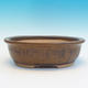 Bonsai ceramic bowl CEJ 56, brown - 2/3
