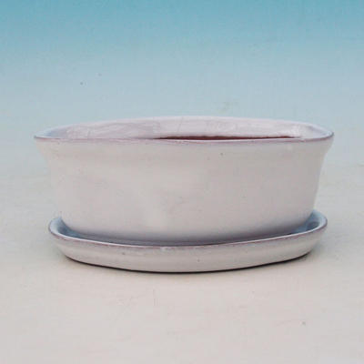 Bonsai bowl tray of water H05 +, white - 2