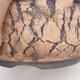 Ceramic bonsai bowl 18 x 18 x 7.5 cm, color cracked - 2/4