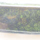 Ceramic bonsai bowl 17.5 x 13.5 x 5 cm, color green - 2/3