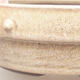 Ceramic bonsai bowl 18 x 18 x 5.5 cm, beige color - 2/3