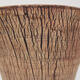 Ceramic bonsai bowl 15 x 15 x 18 cm, color cracked - 2/3