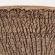 Ceramic bonsai bowl 14 x 14 x 15 cm, color cracked - 2/3
