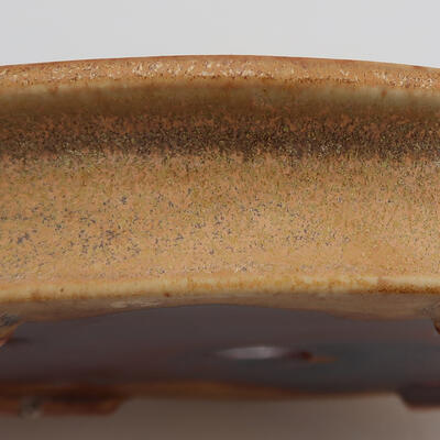 Ceramic bonsai bowl 13 x 10 x 2.5 cm, color beige - 2