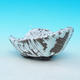 ceramic shell T0664 - 2/3