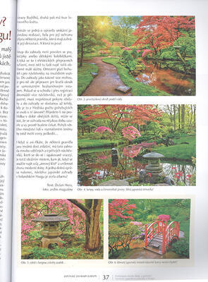 Bonsai and Japanese Gardens No.66 - 2