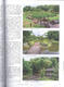 Bonsai and Japanese Gardens No.68 - 2/3