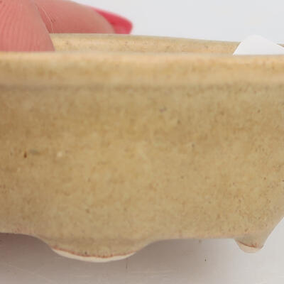Ceramic bonsai bowl 5 x 4 x 2 cm, color beige - 2