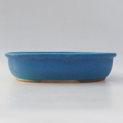 Ceramic bonsai bowl - 2