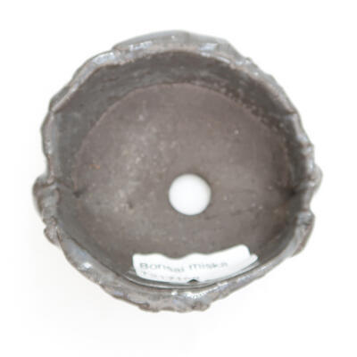 Ceramic shell 8 x 8 x 4 cm, color gray - 2