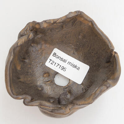 Ceramic Shell 9 x 8 x 4.5 cm, color brown - 2