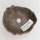 Ceramic shell 8.5 x 8 x 4 cm, color brown - 2/3