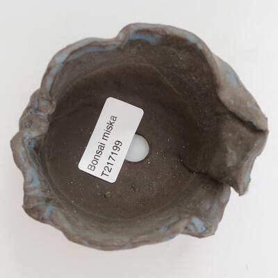 Ceramic shell 10 x 8 x 6 cm, color blue - 2