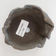 Ceramic shell 10 x 8 x 6 cm, color blue - 2/3