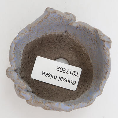 Ceramic Shell 7 x 7 x 4.5 cm, color blue - 2