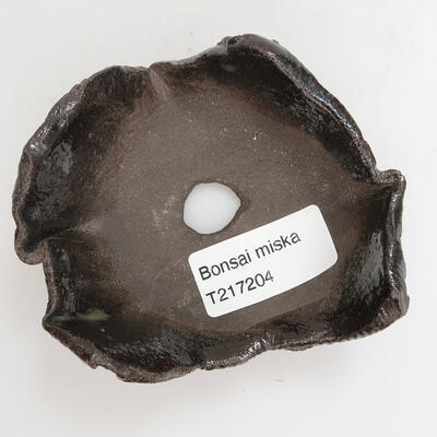 Ceramic Shell 9 x 8 x 3.5 cm, color black - 2