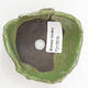 Ceramic shell 8.5 x 8 x 4.5 cm, color green - 2/3
