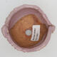 Ceramic shell 10 x 9 x 6 cm, color pink - 2/3