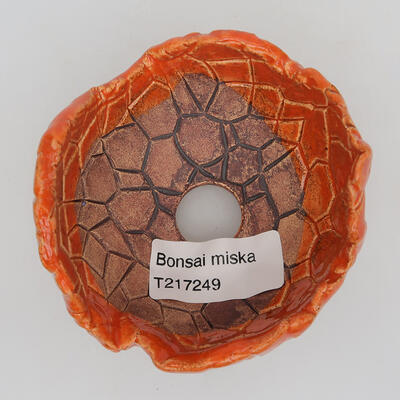 Ceramic shell 8 x 8 x 5 cm, color orange - 2