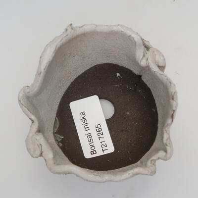 Ceramic shell 8 x 8 x 5 cm, color gray - 2