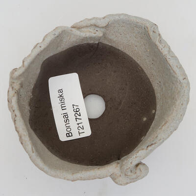 Ceramic shell 8 x 8 x 5 cm, color gray - 2