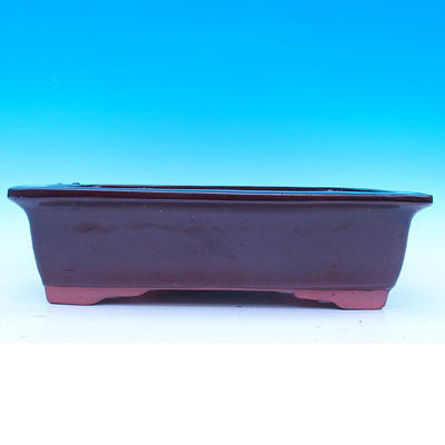 Bonsai bowl 52 x 38 x 15 cm - 2
