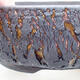 Ceramic bonsai bowl 17.5 x 17.5 x 5.5 cm, cracked color - 2/4