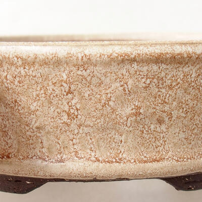 Ceramic bonsai bowl 15 x 15 x 4 cm, beige color - 2