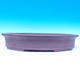 Bonsai bowl 52 x 37 x 9,5 cm - 2/7