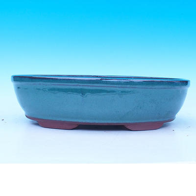 Bonsai bowl 31 x 21 x 8 cm - 2