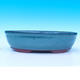 Bonsai bowl 31 x 21 x 8 cm - 2/7