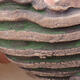 Ceramic shell 7 x 7.5 x 5 cm, color gray green - 2/3