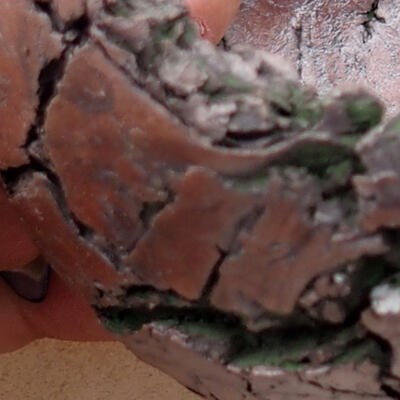 Ceramic shell 7.5 x 7.5 x 6 cm, color gray green - 2
