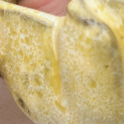 Ceramic shell 7.5 x 7 x 5 cm, color yellow - 2