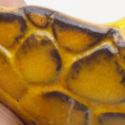 Ceramic shell 7.5 x 7.5 x 5 cm, yellow color - 2