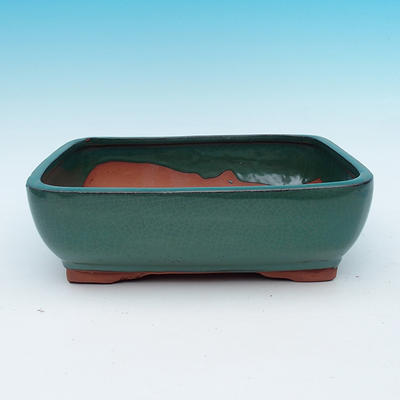 Bonsai bowl - 2