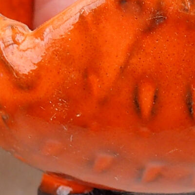 Ceramic shell 7.5 x 7 x 5.5 cm, color orange - 2