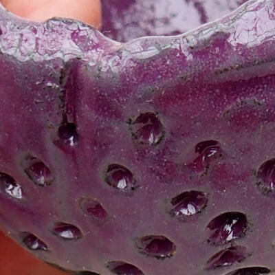 Ceramic shell 7 x 8 x 5 cm, color purple - 2