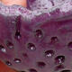 Ceramic shell 7 x 8 x 5 cm, color purple - 2/3