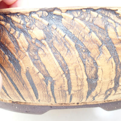 Ceramic bonsai bowl 29 x 29 x 9 cm, color cracked - 2