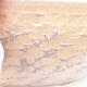 Ceramic bonsai bowl 40 x 40 x 12 cm, color brown - 2/3
