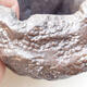 Ceramic shell 7 x 7.5 x 5.5 cm, brown color - 2/3